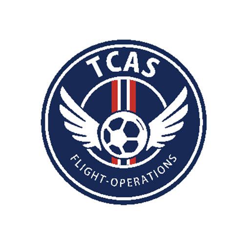TCAS (FLT OPS)